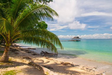 Pulau Tiga - kurtulan ada - Sabah, Malezya Borneo