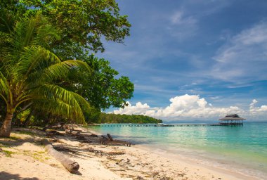 Pulau Tiga - kurtulan ada - Sabah, Malezya Borneo