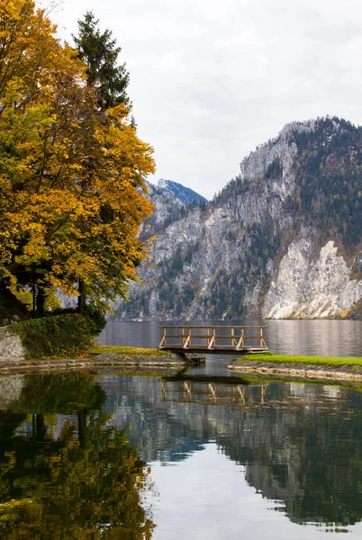Bir sonbahar sabahı göl kıyısındaki tahta köprü - Avusturya