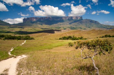 Roraima masa dağı, La Gran Sabana, Canaima Ulusal Parkı, Venezuela
