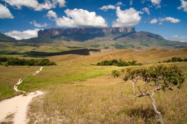 View of Roraima table mountain, La Gran Sabana, Canaima National Park, Venezuela clipart