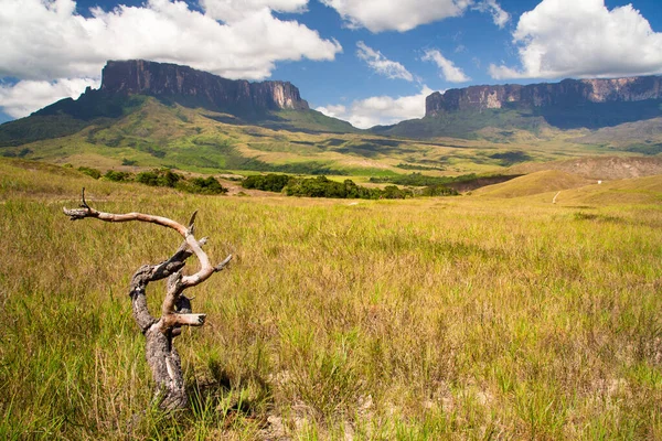 Roraima masa dağı, La Gran Sabana, Canaima Ulusal Parkı, Venezuela
