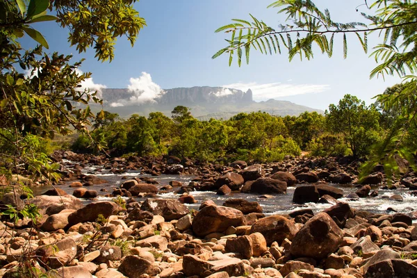 Vista de la montaña de mesa Roraima, La Gran Sabana, Parque Nacional Canaima, Venezuela — Foto de Stock