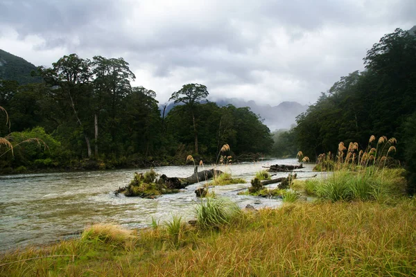 Río Clinton a lo largo de la pista Milford, Fiordland, Nueva Zelanda — Foto de Stock