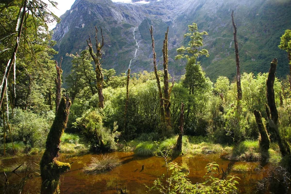 Fiordland Ulusal Parkı 'ndaki Derin Vadi, Milford Pisti - Yeni Zelanda