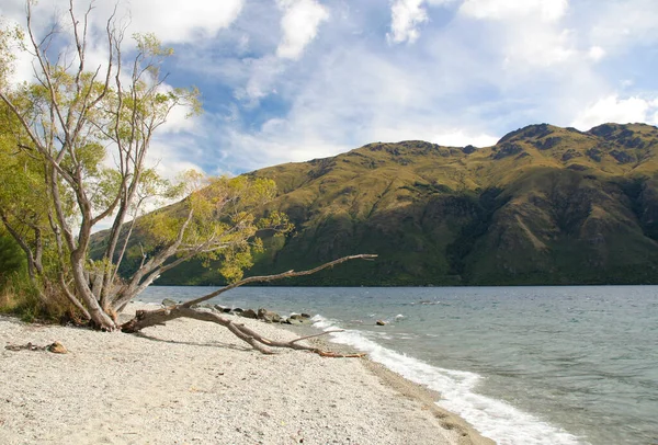 Lago Wanaka, Isla Sur, Nueva Zelanda, a la luz de la mañana —  Fotos de Stock