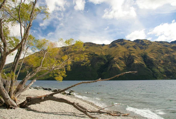 Lago Wanaka, Isla Sur, Nueva Zelanda, a la luz de la mañana —  Fotos de Stock