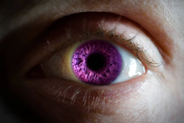 Fioletowy kobieta oko zbliżenie - makro szczegół — Zdjęcie stockowe