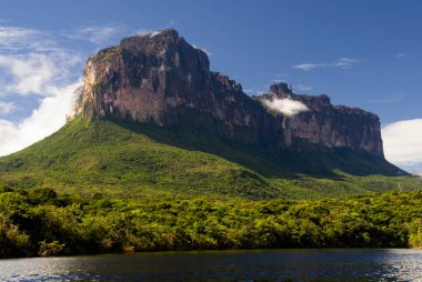 Auyan Tepui - table mountain in National Park Canaima, Venezuela clipart