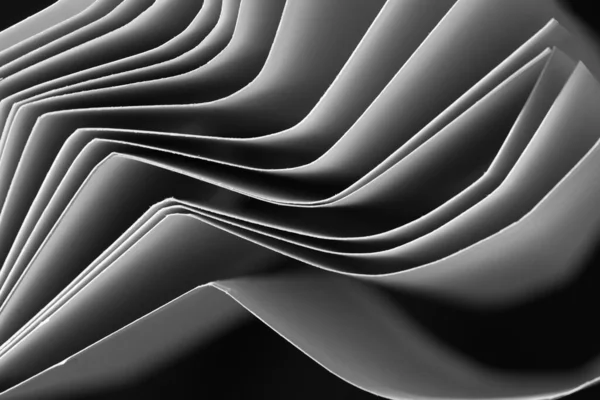 Folhas curvas de papel em detalhe preto e branco - fundo — Fotografia de Stock