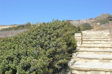 Kıbrıs, Limasol, antik Amathus kenti