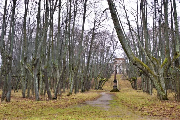 Obélisque Catherine Dans Domaine Tchernychev Yaropolets — Photo