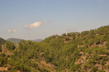 Kıbrıs, ağaçlı, gökyüzü ve bulutlu sıradağlar