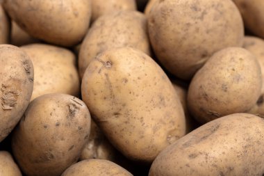 Çiğ patates arka plan