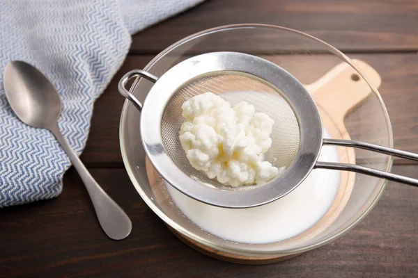 Milk kefir grains in strainer — Stock Photo, Image