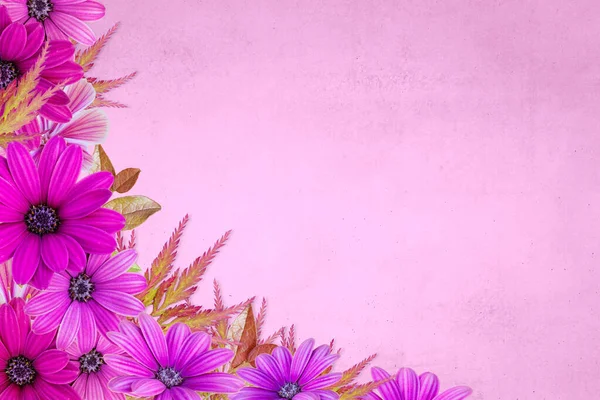 Floral assorted pink flower border on pink background. Flower background Springtime