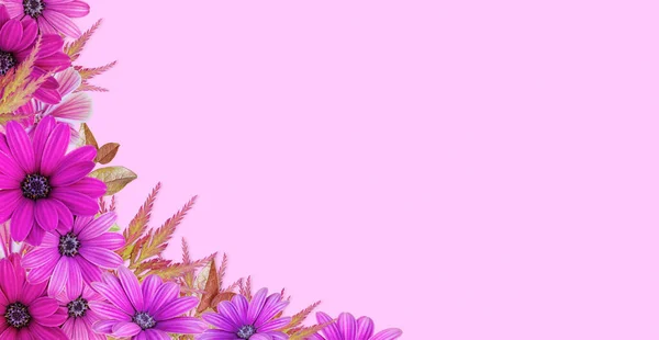 Floral assorted border on pink background. Flower background Springtime