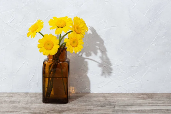 Beautiful Yellow flowers in amber bottle on wooden table. Spring scene background. Copy space
