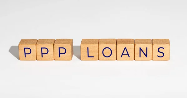 PPP Kredi Koruma Programı konsepti. Beyaz arkaplanda yazı olan tahta bloklar. Boşluğu kopyala