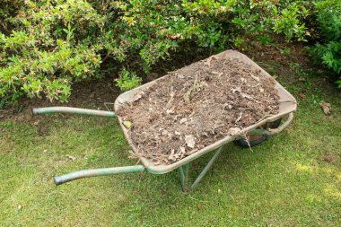 Bahçede toprak ya da gübre dolu el arabası. Bahçe aleti