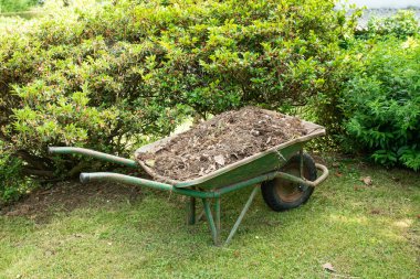 Bahçede toprak ya da gübre dolu el arabası. Bahçe aleti