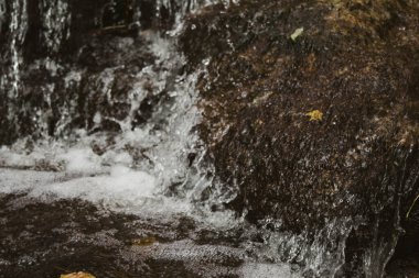 Parktaki taşlardan gelen şelale. Sonbahar yapraklarının, turuncu ve sarı ağaçların arka planında.