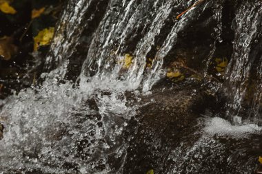 Parktaki taşlardan gelen şelale. Sonbahar yapraklarının, turuncu ve sarı ağaçların arka planında.