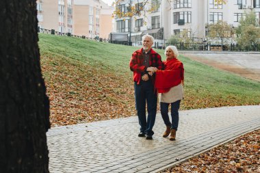 Old couple is walking in the green park. Fifty years together love story. Grandma and grandpa kissing. Grandmother and grandfather at their golden wedding anniversary celebration.