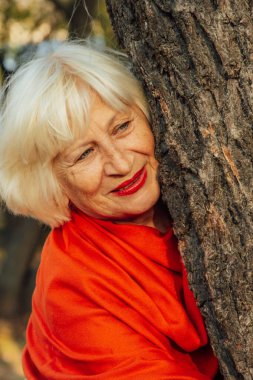 Old couple is walking in the green park. Fifty years together love story. Grandma and grandpa kissing. Grandmother and grandfather at their golden wedding anniversary celebration.