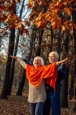 Sonbahar yeşilliklerinde parktaki mutlu yaşlı bir kadın ve adamın portresini kapat..