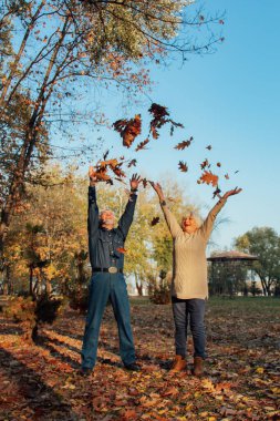 Yaşlı çift mutlu sonbahar yapraklarını parkta otururken fırlatıyor. Yaşlıların olumlu duyguları.
