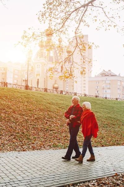 Old couple is walking in the green park. Fifty years together love story. Grandma and grandpa kissing. Grandmother and grandfather at their golden wedding anniversary celebration. — 스톡 사진