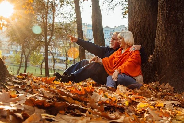 Sonbahar yeşilliklerinde parktaki mutlu yaşlı bir kadın ve adamın portresini kapat..