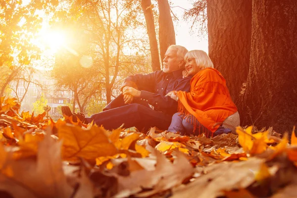 Retrato de cerca de una anciana feliz y el hombre en un parque en el follaje de otoño . — Foto de Stock