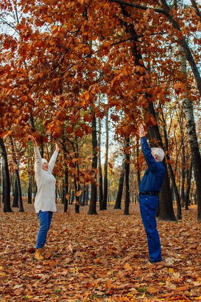 Elderly couple happily throws autumn fall leaves sitting in a park. Positive emotions of the elderly.