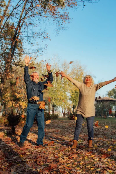Elderly couple happily throws autumn fall leaves sitting in a park. Positive emotions of the elderly. — Stock Photo, Image