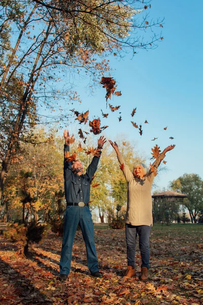 Elderly couple happily throws autumn fall leaves sitting in a park. Positive emotions of the elderly.