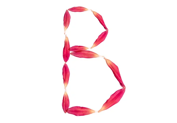 白を基調としたピンク色の花弁からアルファベット。独立したトップビュー、文字b. — ストック写真
