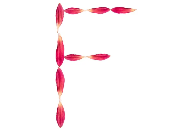 흰색 배경에 핑크 색 꽃 꽃잎에서 온 알파벳. 외떨어진 맨 위에서 본 F 자. — 스톡 사진