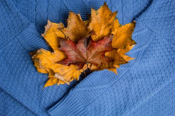 Patrón de suéteres de punto de colores primer plano. Producto de lana merino hecha a mano. Ropa plegada con hojas de otoño . — Foto de Stock