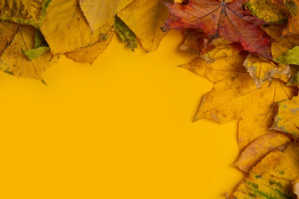 Осіння композиція. Різнокольорове зелене жовте, червоне, кленове листя ізольоване на жовтому тлі. Плоский простір, вид зверху, простір для копіювання. Осіннє поняття. Осінній фон. Компонування креативного сезону . — стокове фото