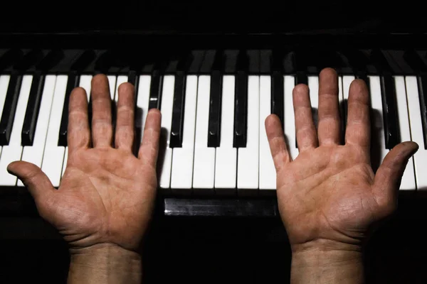 ピアノの男の手は4本ヤシの木は音楽学校のキーボードでひっくり返りました生徒は遊ぶことを学ぶピアニストの手だ黒い闇の背景. — ストック写真