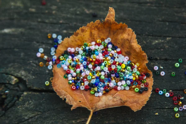 A lot of beautiful, colored beads are scattered on a wooden background and an autumn leaf. Place for text. Blank for needlework. — Stock Photo, Image