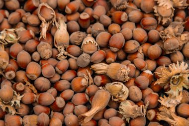 Eski bir kütüğün üzerinde bir demet taze fındık. Yüzeyin derinliği. Yemek proteini. Fıstık Ezmesi Reklamcılığı. Bir orkide deseninin arkaplan resmi.