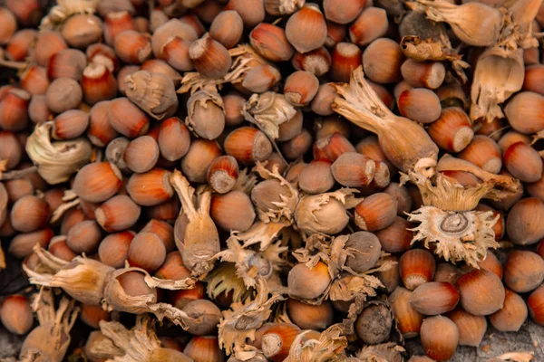 Um monte de avelãs maduras frescas num toco velho. Profundidade de campo rasa. Proteína alimentar. Publicidade de manteiga de amendoim. Imagem de fundo de um padrão de orquídeas . — Fotografia de Stock