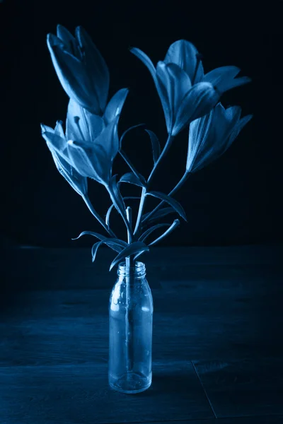 Pantone fresco classico 2020 in blu. Concetto di colore dell'anno. Delicato fiore di giglio. I contorni del fiore nella fotografia oscura atmosferica. Fiori per le vacanze, pubblicità, regalo . — Foto Stock