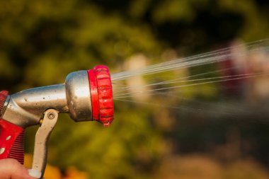 Kadın elleri hortumdan bitkiler sulama görünümü, bahçede bir yağmur yapar. Çiçekler üzerinde sulama hortumu ve püskürtücü su ile Bahçıvan.