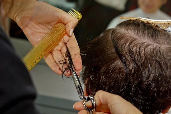 O fim de um cabeleireiro corta o cabelo marrom molhado de um cliente em um salão. O cabeleireiro corta uma mulher. Vista lateral de um cabelo de corte de mão com tesoura . — Fotografia de Stock