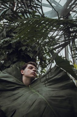 Genç bir adam çalıların üzerinde yatıyor, doğayla bütünlük kavramı, doğayı önemsiyor, bahar geldi..