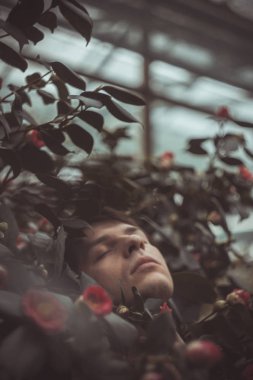 Yeşil yapraklı genç bir adamın portresi. İyi bir adam yeşil bitkilerden oluşan bir duvarın önünde duruyor. Gül çalılıklarında beyaz bir adamın yakın çekimi..